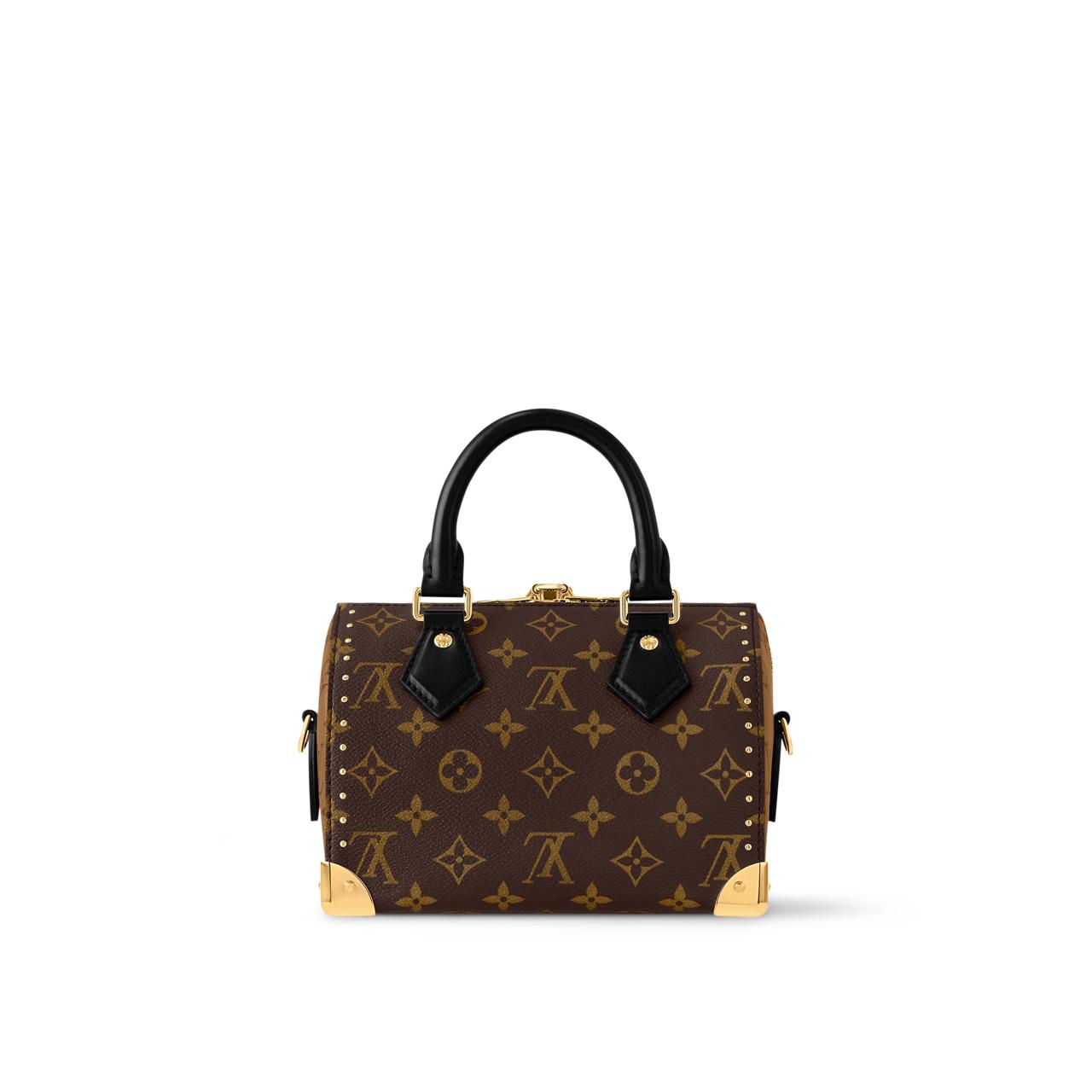 Speedy Trunk 20 in Monogram canvas