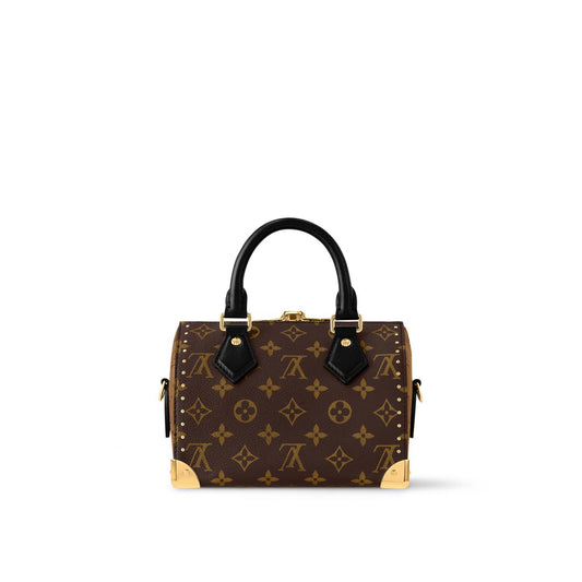 Speedy Trunk 20 in Monogram canvas